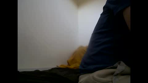 Snapshot of handsomepenis20cm chatting on 04.29.26 handsomepenis20cm online show from 04.29.26