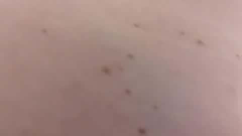 Snapshot of handsomerob42 chatting on 01.18.26 handsomerob42 online show from 01.18.26