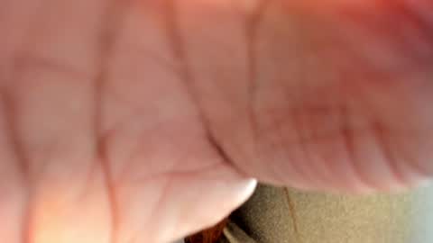 Hanna online show from 01.26.25