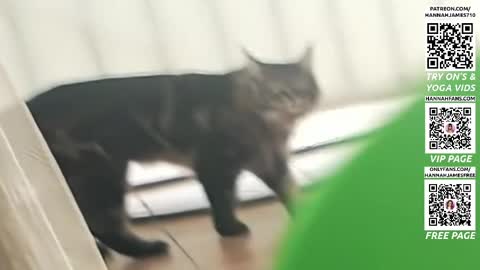 Hannah James online show from 04.03.26