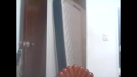 Snapshot of hanny_kail chatting on 01.31.26 hanny online show from 01.31.26