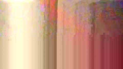 Snapshot of happydick69a chatting on 12.31.24 happydick69a online show from 12.31.24