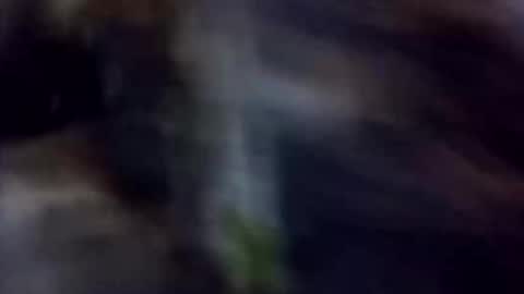 Snapshot of happydick69a chatting on 10.02.25 happydick69a online show from 10.02.25