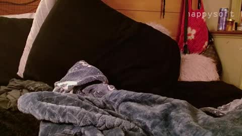 meatwad online show from 03.11.25