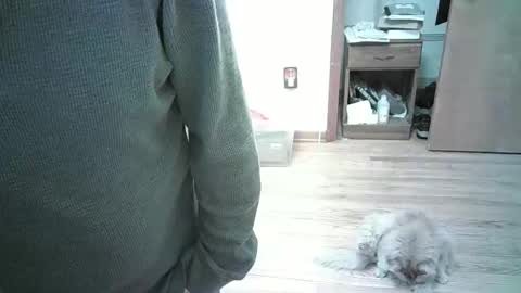 Hardy-Har online show from 01.03.25