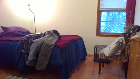 Hardy-Har online show from 12.01.25