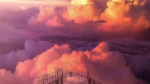 900 am to 300 pm - GTM 5 Weekdays online show from 12.11.24