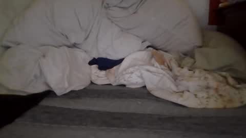 harry1cannary online show from 10.07.25