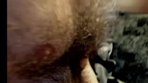 harry_banana online show from 02.10.25