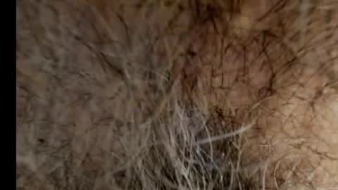 harry_banana online show from 02.21.25