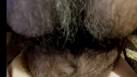 harry_banana online show from 03.08.25