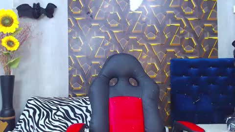 Harry online show from 11.05.25