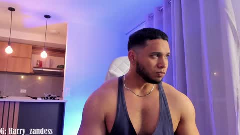 Harry Zandes online show from 01.29.25