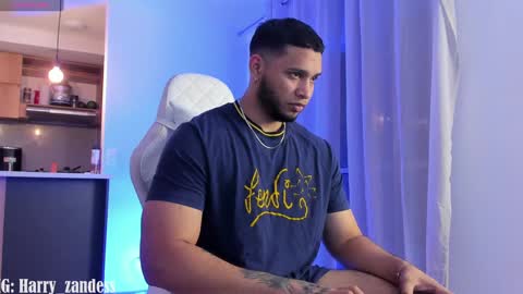 Harry Zandes online show from 02.01.25