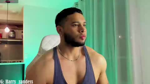 Harry Zandes online show from 02.25.25