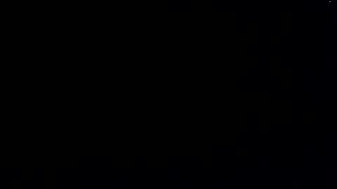 Snapshot of harryallnightes chatting on 12.22.24 harryallnightes online show from 12.22.24