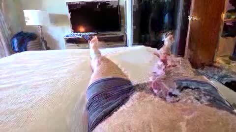 havebeardwilltravel3250 online show from 01.15.26