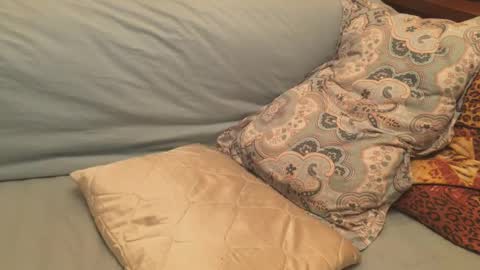 havedream1m online show from 12.17.24