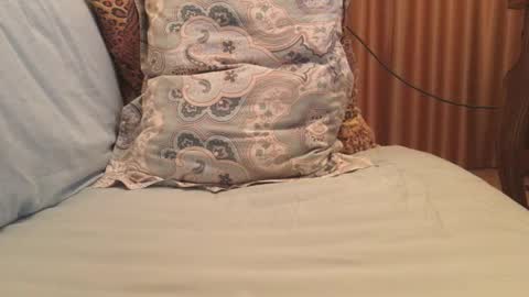 havedream1m online show from 10.13.25