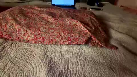 Snapshot of hawt_ass_milf chatting on 03.08.26 Amber - or vip online show from 03.08.26