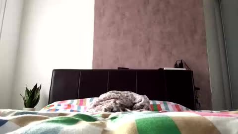 Hayle online show from 10.22.25