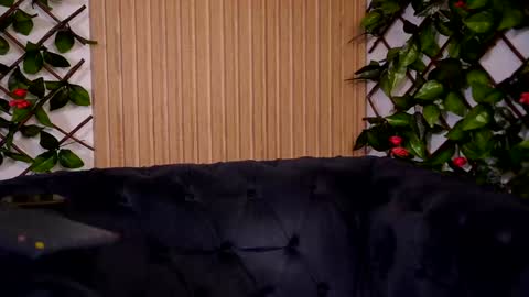 Haylie online show from 12.22.24