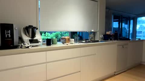 h babe online show from 12.14.24