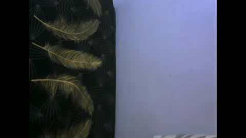 Snapshot of healyn chatting on 01.27.25 healyn online show from 01.27.25