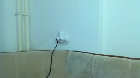 helen_adams_ online show from 01.08.25