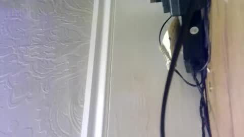 hellobunbunx0 online show from 12.27.24