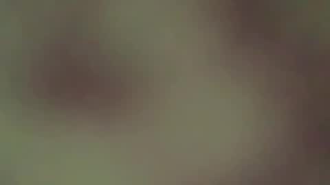 hellohowareyou66 online show from 04.21.26