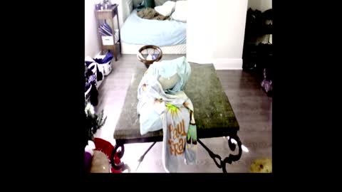 HenryFlapper online show from 01.04.25