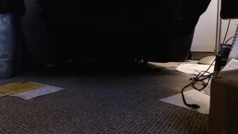 henryjxxx online show from 01.12.25