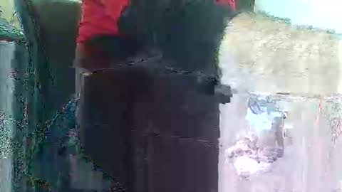 herbee510 online show from 12.20.25