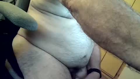 herbee online show from 03.17.26