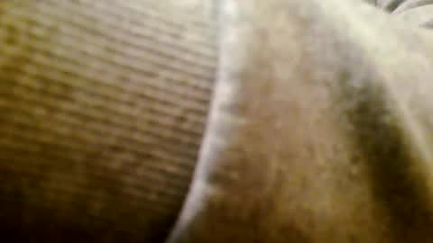 mr D online show from 11.25.25