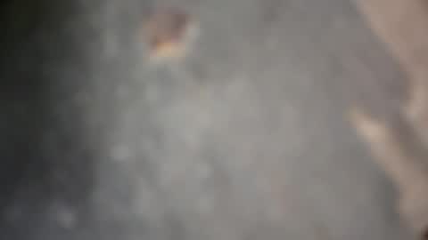 herletigre12345 online show from 10.18.25