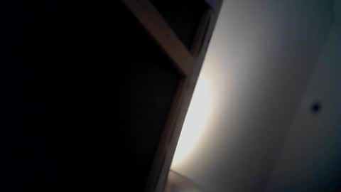 Snapshot of hermitage2 chatting on 11.16.25 hello 69 online show from 11.16.25