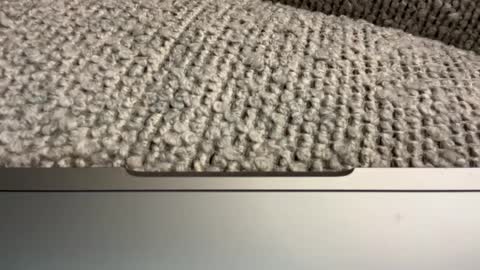 Snapshot of heroes1851663 chatting on 01.14.25 heroes1851663 online show from 01.14.25