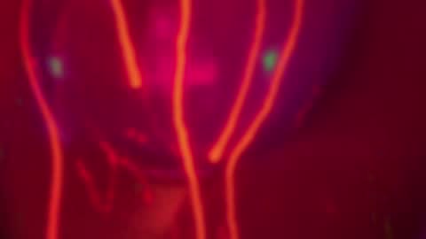 Alina online show from 12.14.24