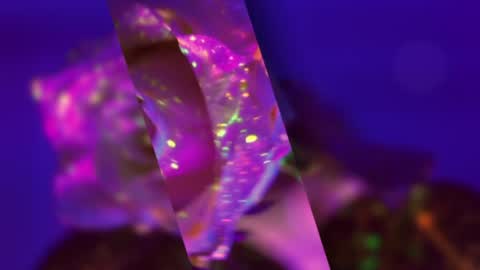 Alina online show from 01.19.25