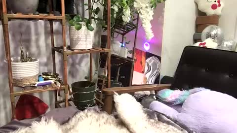 FlexieFae online show from 01.03.25