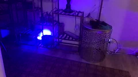 FlexieFae online show from 01.03.25