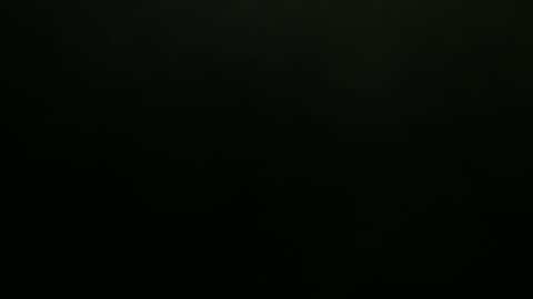 Snapshot of hibus_85 chatting on 11.07.25 hibus_85 online show from 11.07.25