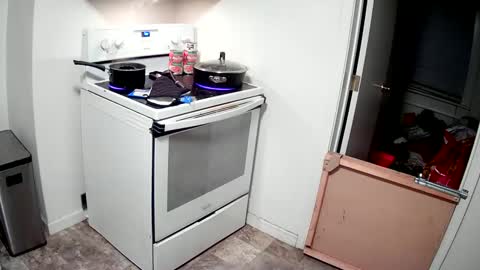 Highnesscali37 online show from 12.31.24