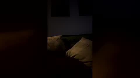 Snapshot of highvolatageusa chatting on 02.09.26 Drake online show from 02.09.26