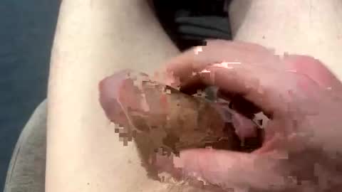 higradez online show from 03.24.26