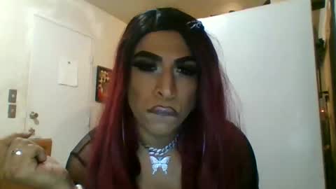 Snapshot of hihheelstranny chatting on 04.12.26 hihheelstranny online show from 04.12.26