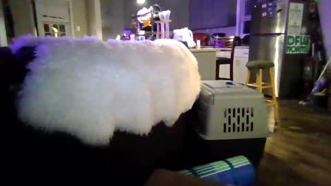 Snapshot of hollemanjustin99 chatting on 10.03.25 Jjjmoney93 online show from 10.03.25