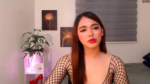 hollywoodstareme online show from 07.11.26
